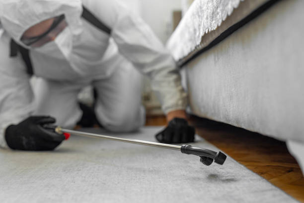 Professional Bed Bug Control technician working in Franklin, PA